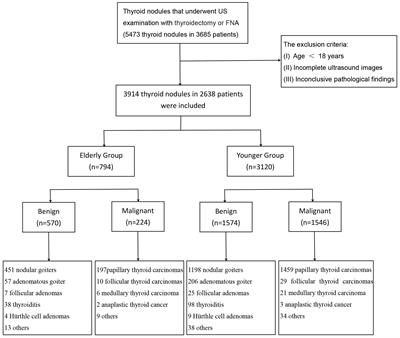 A comprehensive comparative assessment of eight risk stratification systems for thyroid nodules in the elderly population
